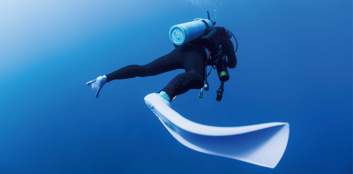 BARACUDA – DIVE SPACE